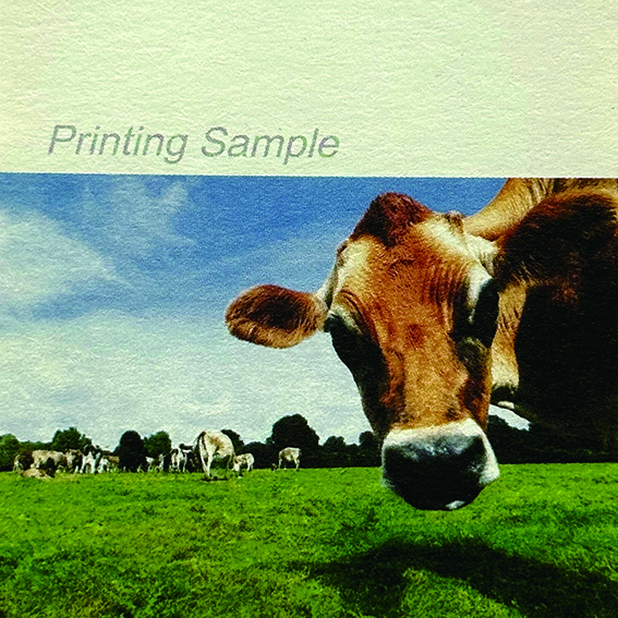 米色嵩厚道林紙